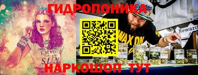 мяу мяу мука Будённовск